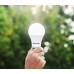 Panasonic 14 Watt Led Günışığı Yüksek Işık Avize Ampulü E27 Duylu 1430 Lümen 100 Watt Eşdeğer